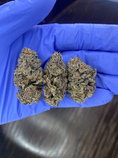 White Truffle Strain - Image 2