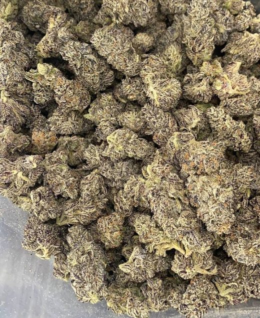 White Truffle Strain