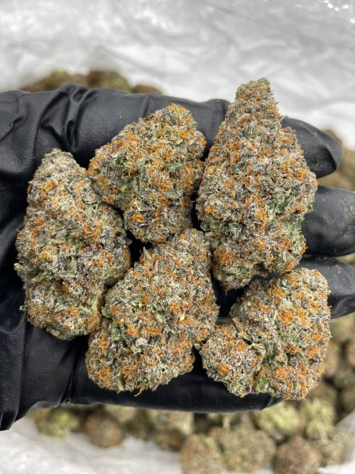 French Toast Strain - Image 2