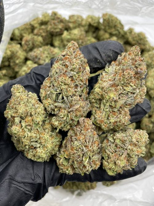 Donny Burger Strain - Image 2