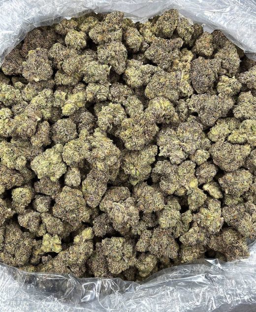 Cherry Sprite Strain