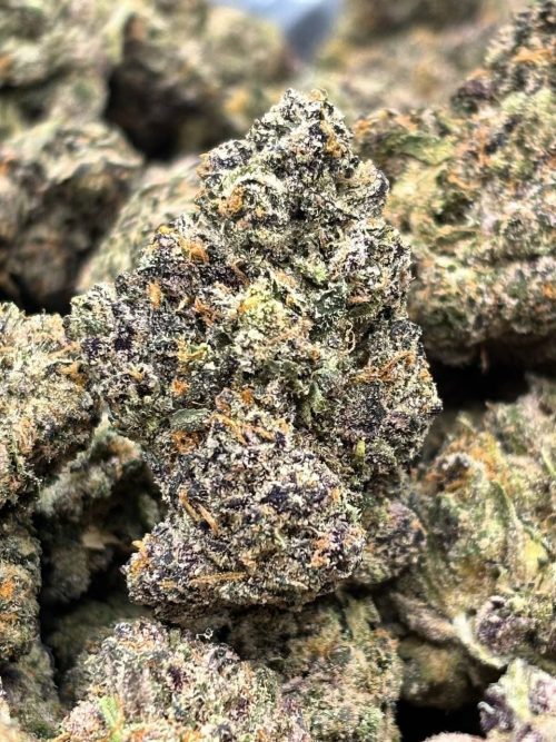 Cherry Sprite Strain - Image 2