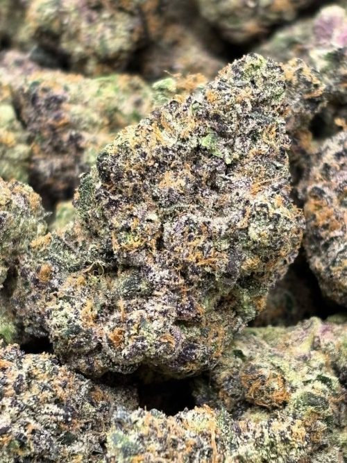 Moonbeam Strain - Image 2