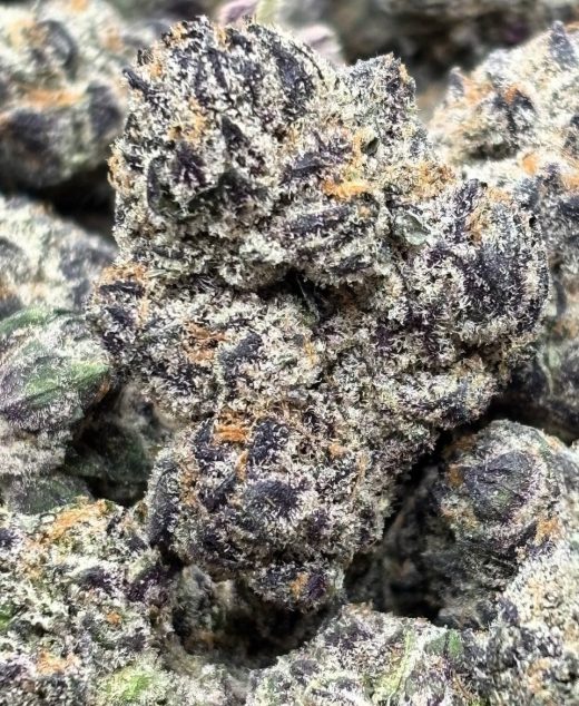 Gelliez Strain