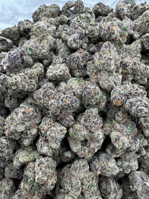 Bubble Gum Runtz Strain