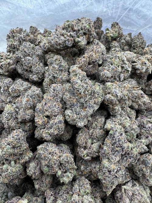 Presidential Runtz Strain