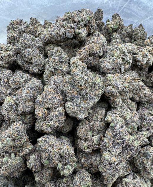 Presidential Runtz Strain
