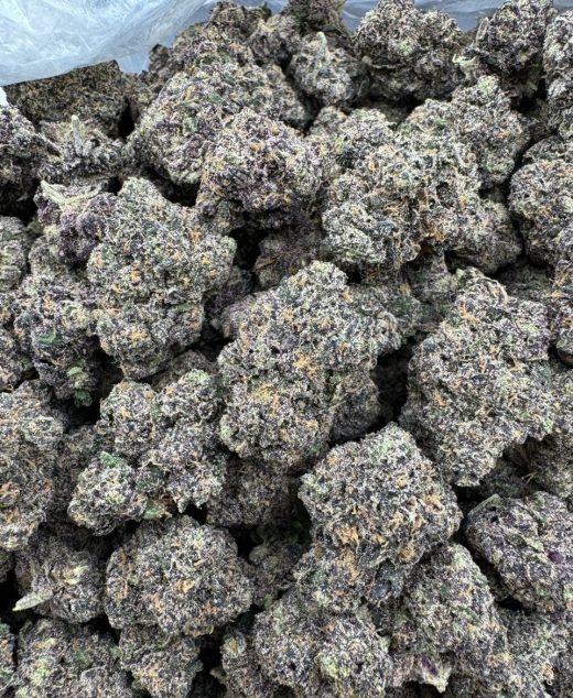 Jammers Strain
