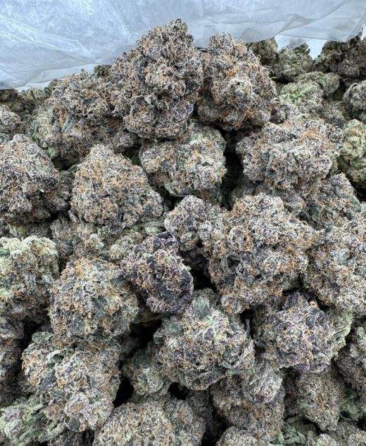Black Gumbo Strain