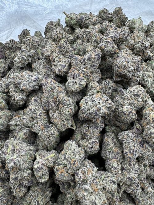 Blue Gumbo Strain