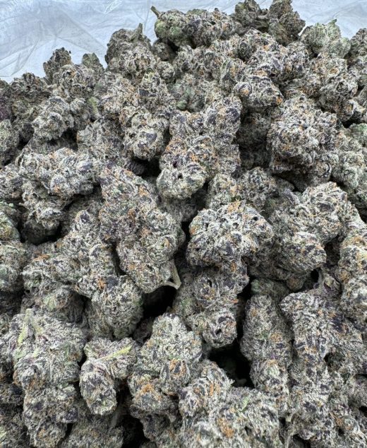 Blue Gumbo Strain