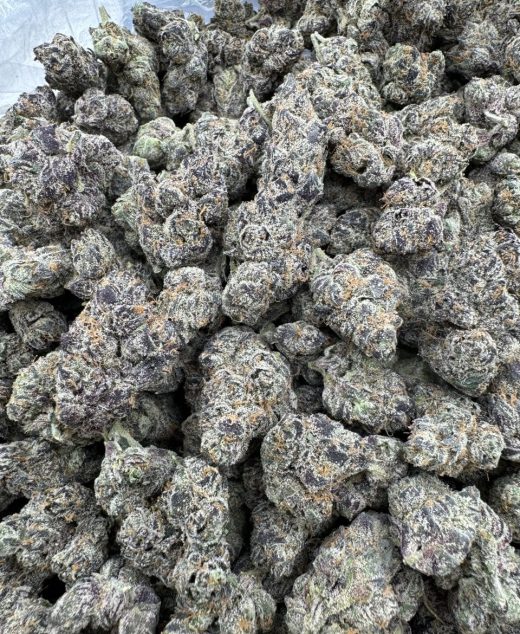 Purple Fun Dip