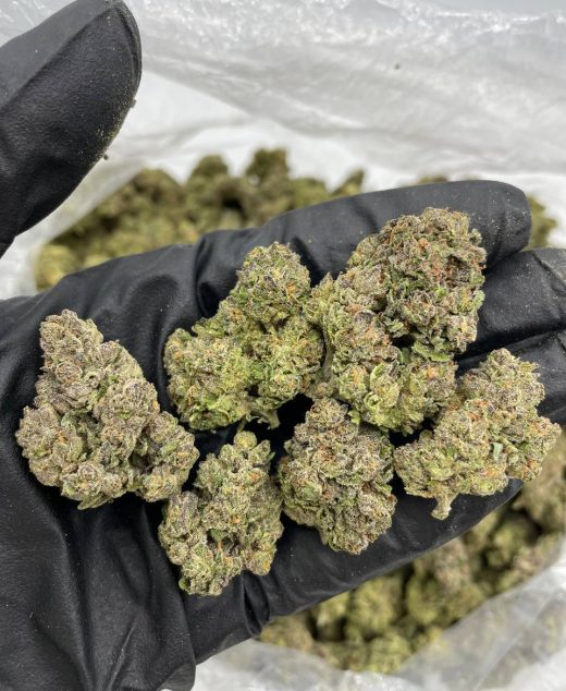 Blue gushers strain